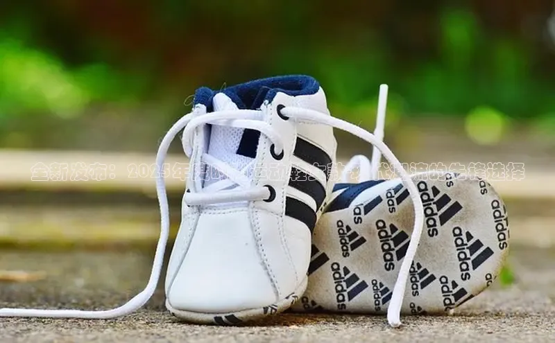 全新发布：2025年度时尚运动鞋女款-现代潮流的先锋选择